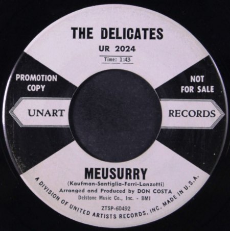 DELICATES B2.jpg