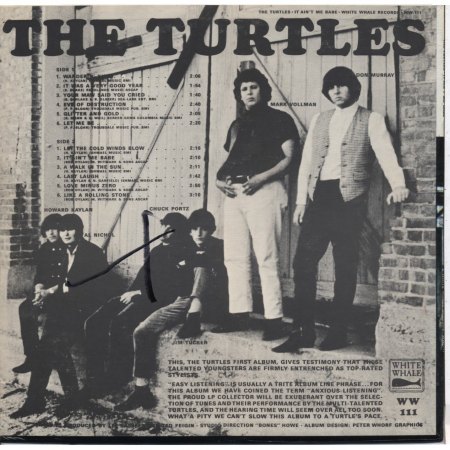 Turtles Back.jpg