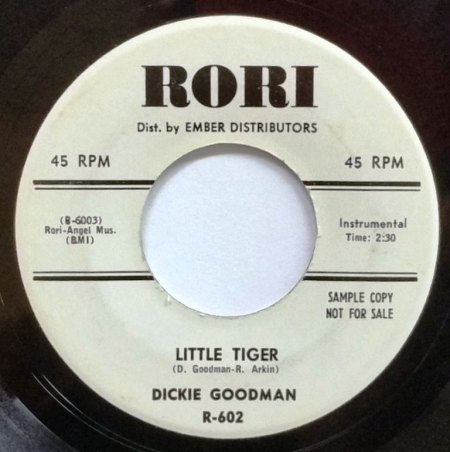 GOODMAN A17.jpg