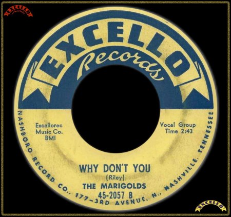 MARIGOLDS - WHY DON'T YOU_IC#003.jpg