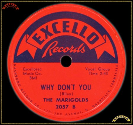 MARIGOLDS - WHY DON'T YOU_IC#002.jpg