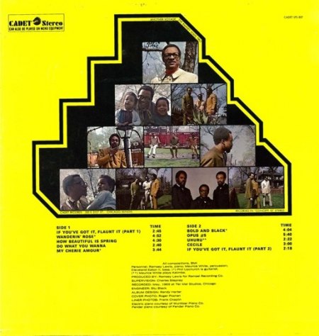 cover back.jpg