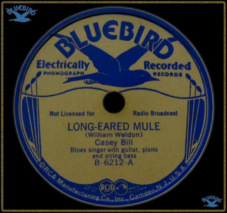 CASEY BILL WELDON - LONG EARED MULE_IC#002.jpg