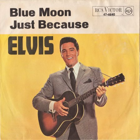 blue moon - cover 001 (3).jpg