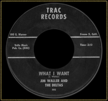 JIM WALLER &amp; THE DELTAS - WHAT I WANT_IC#002.jpg