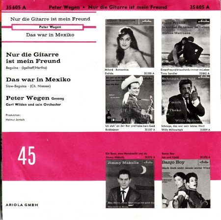 PETER WEGEN - Nur die Gitarre ist mein Freund - CV RS -.jpg