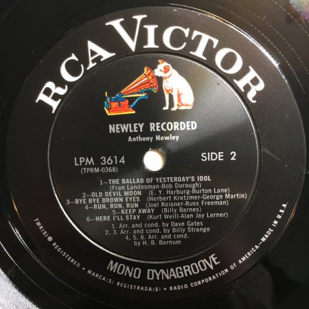 side2.jpg