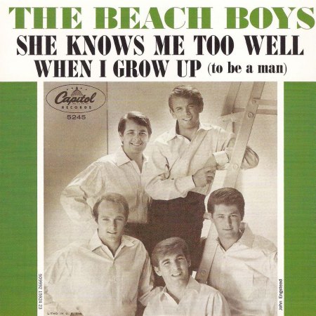 Beach Boys - When I grown up (2).jpg
