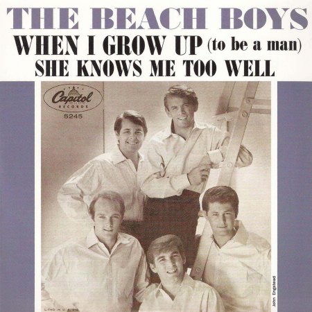Beach Boys - When I grown up.jpg