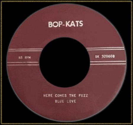 BOP-KATS - HERE COMES THE FUZZ_IC#002.jpg