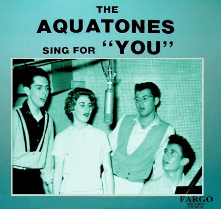 Aquatones_You_FARGO LP LM 5031X.jpg