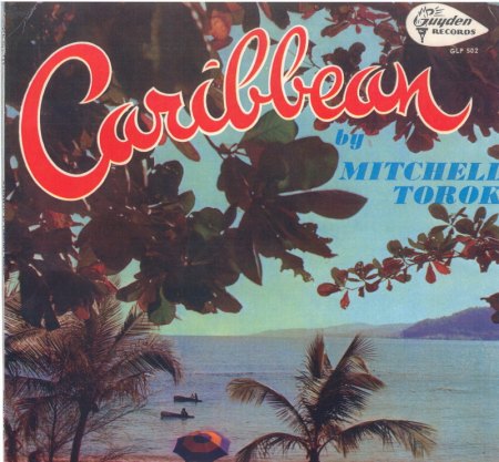 torok mitchell - lp - cover.jpg