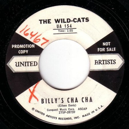 k-wild cats 2.JPG