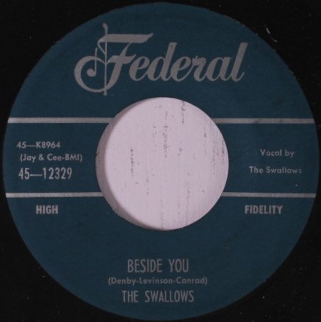 Swallows01a.jpg