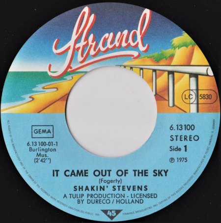 side 1 shakin 6.13100 001 (2).jpg