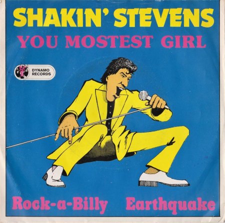 side a shakin dyr 45003 001 (2).jpg