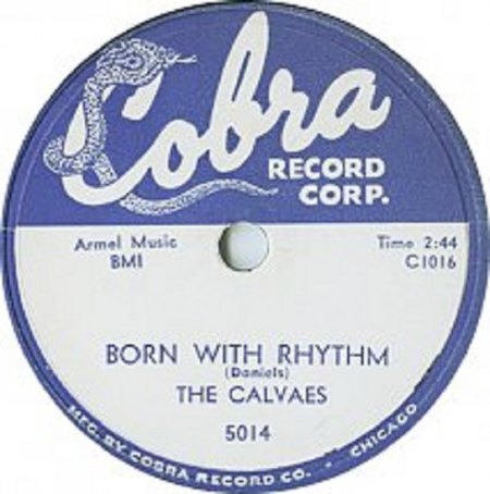 Calvaes - Born with rhythm (2).jpg