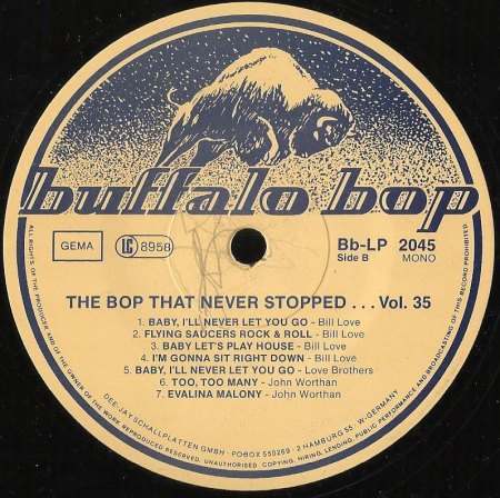 Bop that never stopped Vol 35 - Bison Bop 2045  (3).jpg