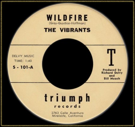 VIBRANTS - WILDFIRE_IC#002.jpg