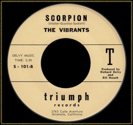 VIBRANTS - SCORPION_IC#002.jpg