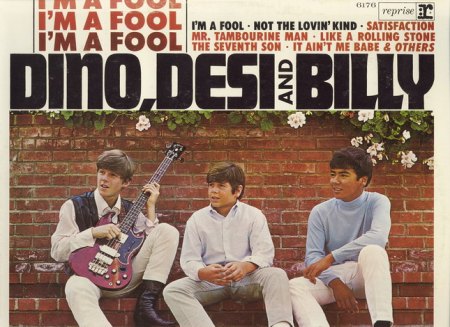 Dino, Desi &amp; Billy (3)_Bildgröße ändern.jpg