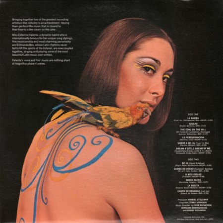 Silk Back.jpg