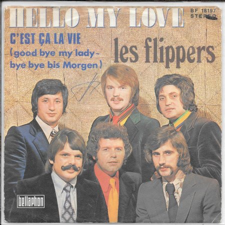 flippers 10.jpg