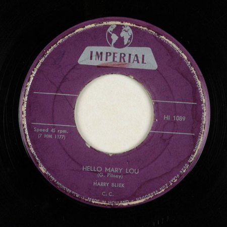 Harry Bliek - Inhalt 1.jpg