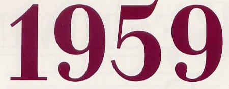 Bild-60.jpg