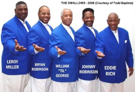 swallows10.jpg