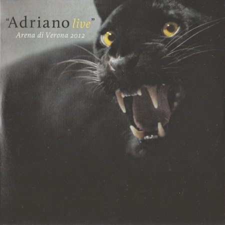 ariano celentano ...adriano -05b.jpg