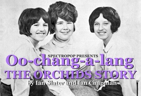 Orchids%20header.jpg