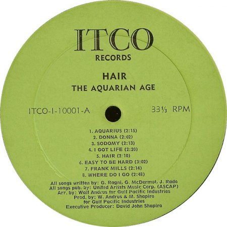 Hair (2).jpg