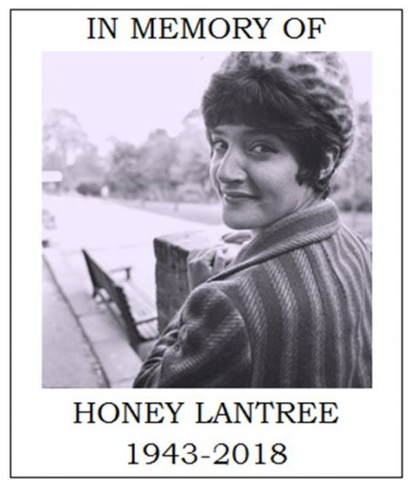 lantree.jpg