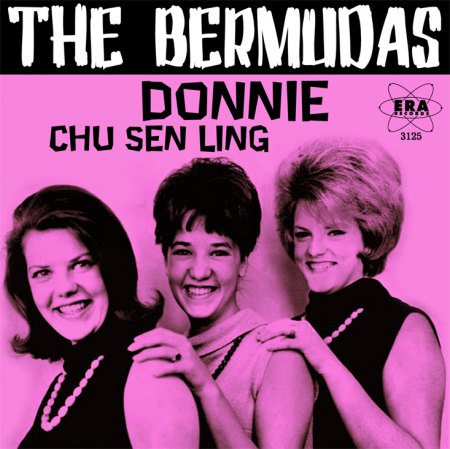The Bermudas POCHETTE A.jpg