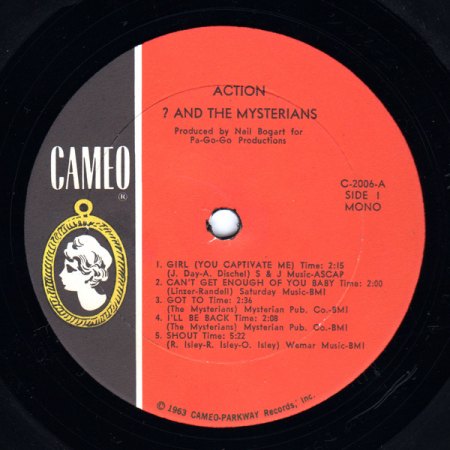 Question Mark - Action 1a  (1).jpeg