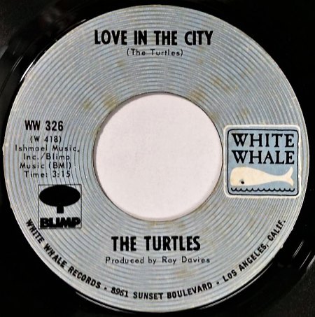 TURTLES A3.jpg