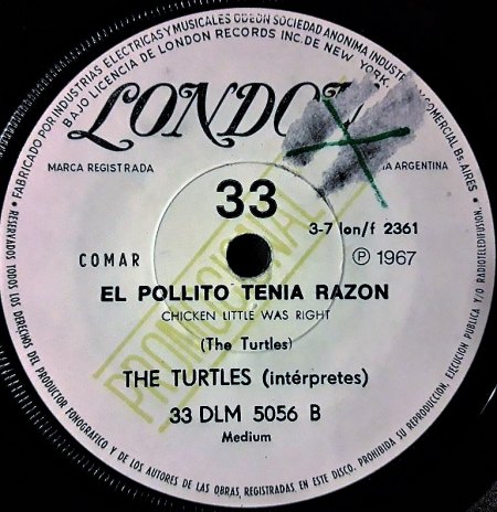 TURTLES B9.jpg