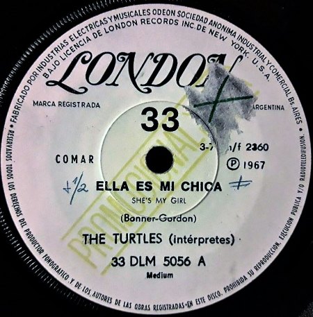 TURTLES A9.jpg