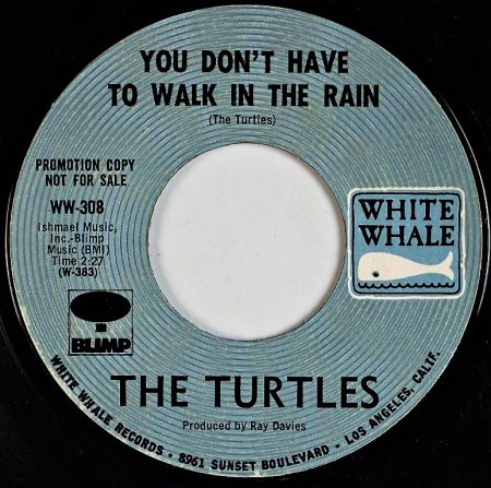 TURTLES A10.jpg