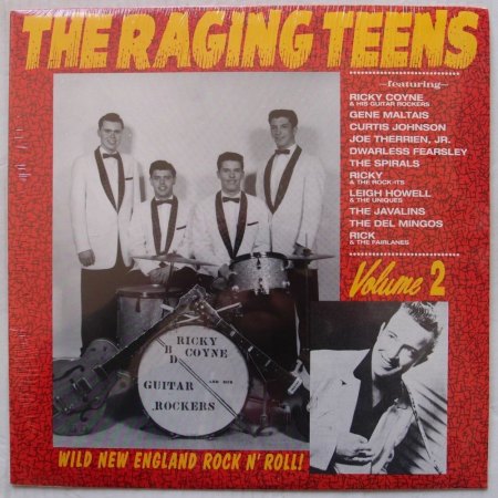 WILD NEW ENGLAND ROCK N' ROLL