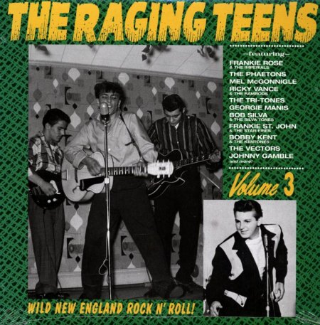 WILD NEW ENGLAND ROCK N' ROLL