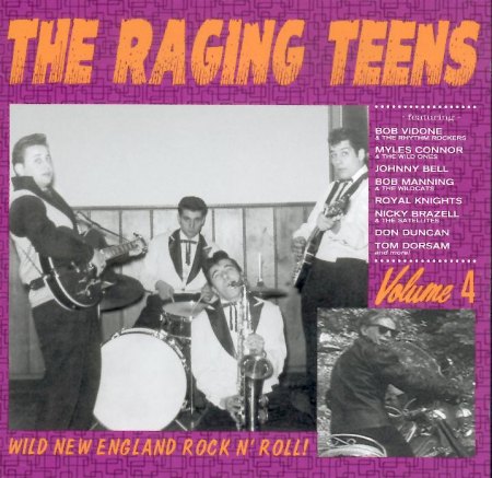 WILD NEW ENGLAND ROCK N' ROLL