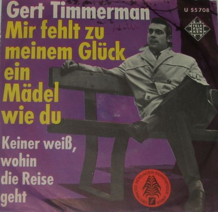 Gert Timmerman - Twee goulden ringen