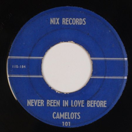 THE CAMELOTS