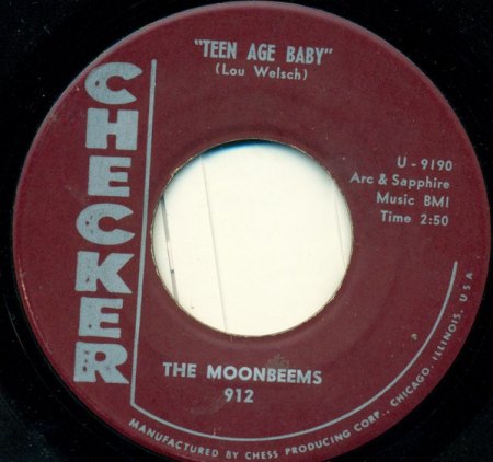 The MOONBEEMS