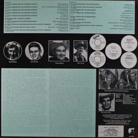 CURLY GIBSON - "The Hillbilly Hop"