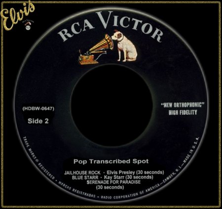 ELVIS PRESLEY - JAILHOUSE ROCK