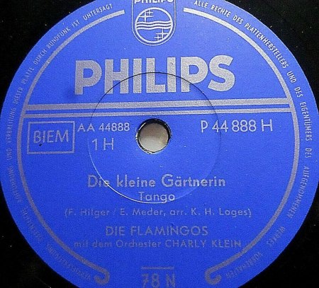 Die FLAMINGOS (D)