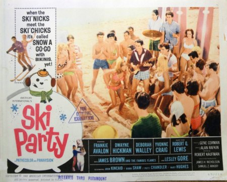 SKI PARTY